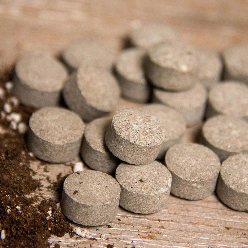 birth control pills plant fertilizer The Pill for Plants