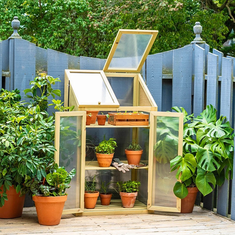 small hot houses for plants Mini Greenhouse