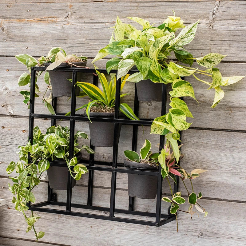 wall pots plants Potted Wall Display And 5 Plant Pots