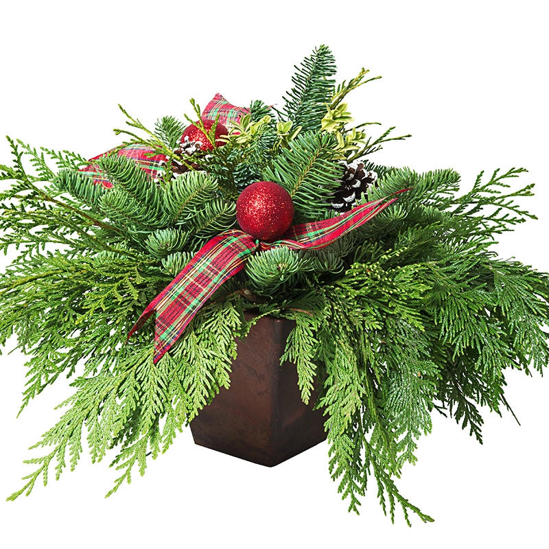 Fresh Yuletide Centerpiece