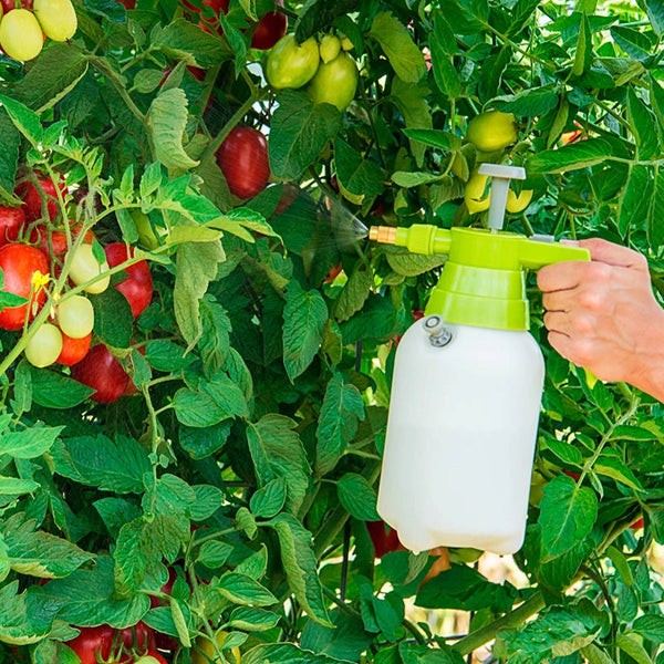 best handheld sprayer for garden Handheld Sprayer - Shop Gardening Tools