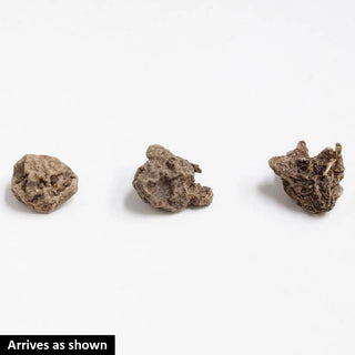 Anemones Mix Super Bag