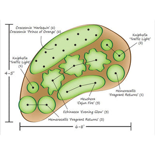 Hot Color Perennial Garden