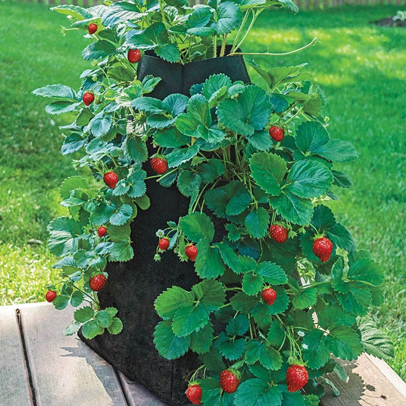 Grow Tub™ Strawberry Tower™