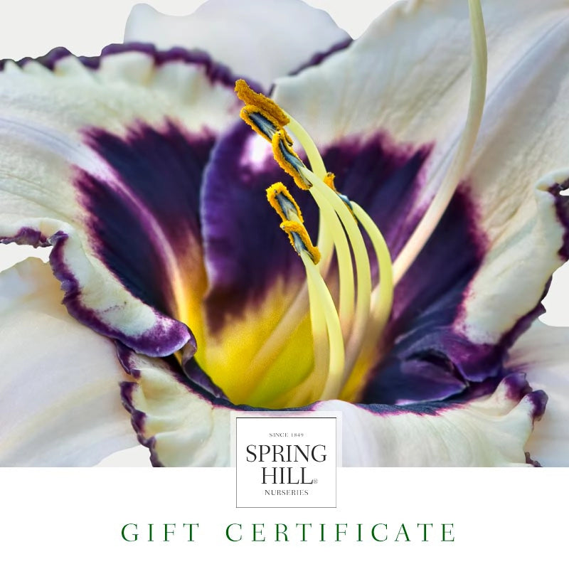 Gardening Gift Certificates