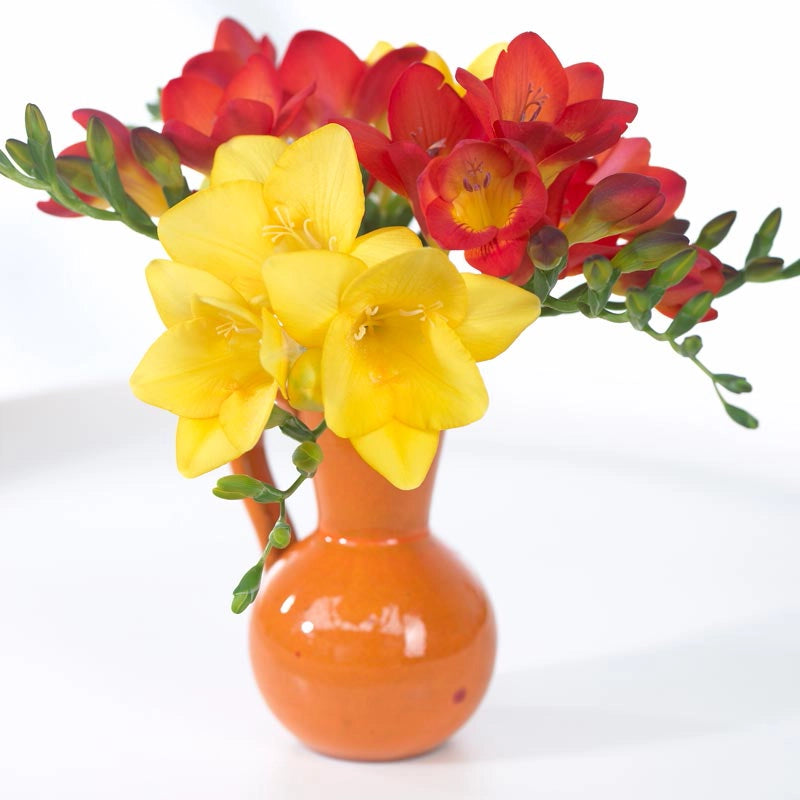 Freesia Mix