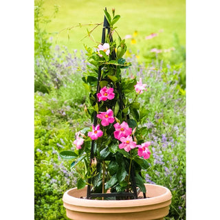 Metropolitan Folding Tuteur