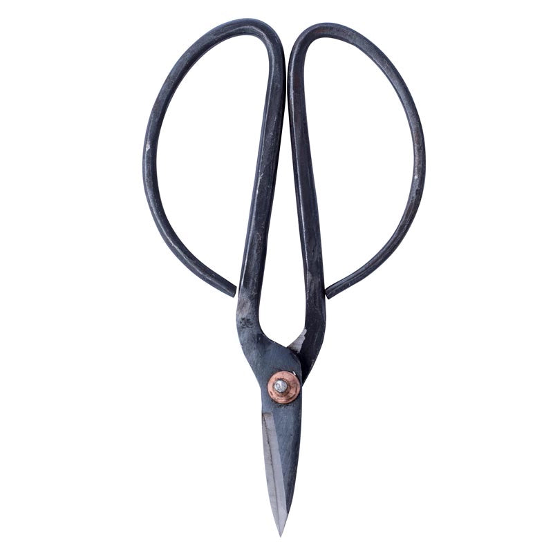 garden twine and scissors Essential Twine with Scissors