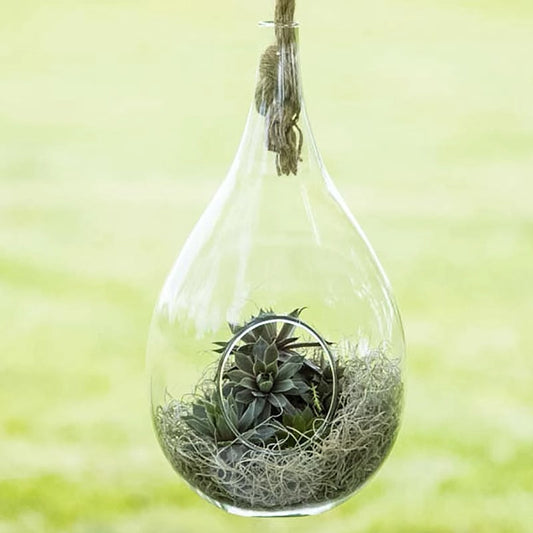 ellipse oversized hanging planter Danya B Teardrop Hanging Glass Planter with Rope