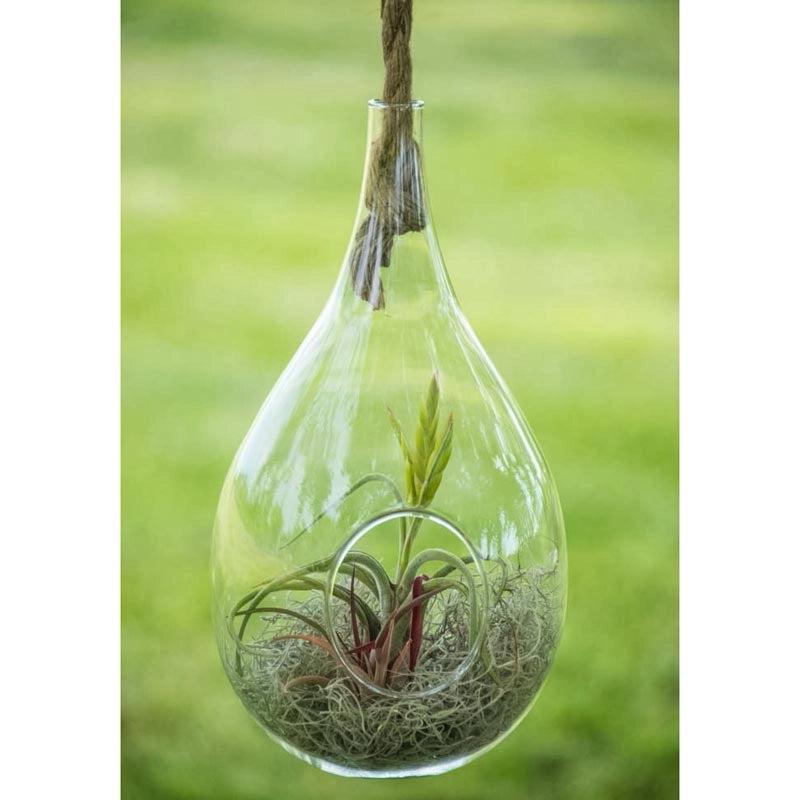 ellipse hanging planter Danya B Teardrop Hanging Glass Planter with Rope