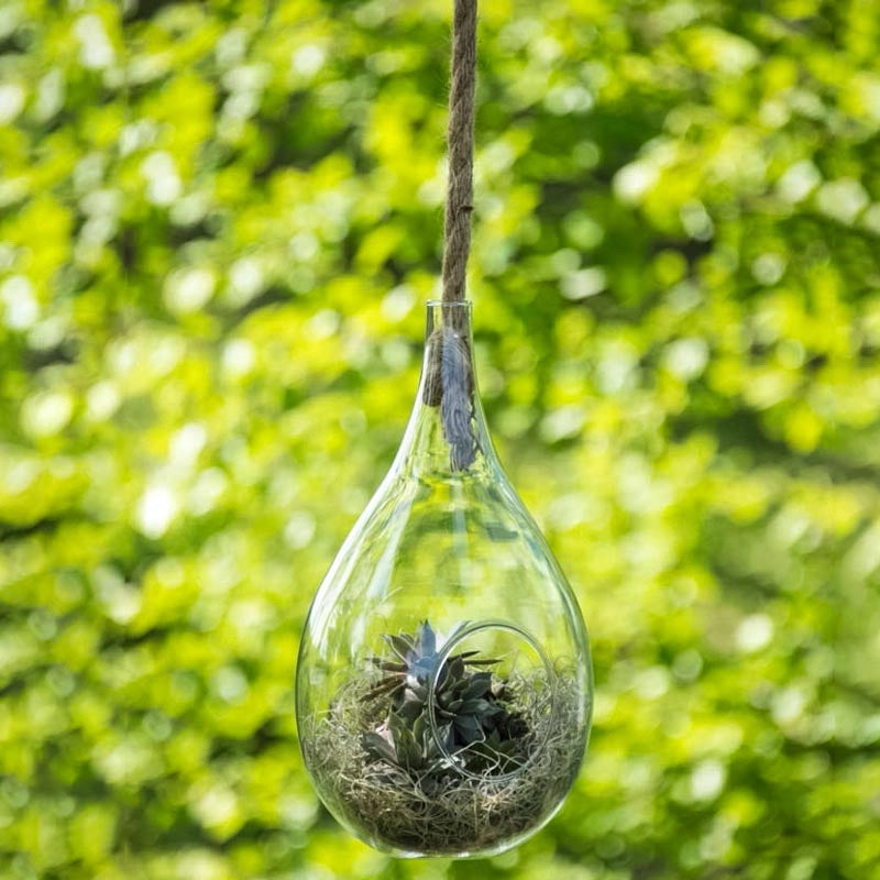 ellipse hanging planter Danya B Teardrop Hanging Glass Planter with Rope