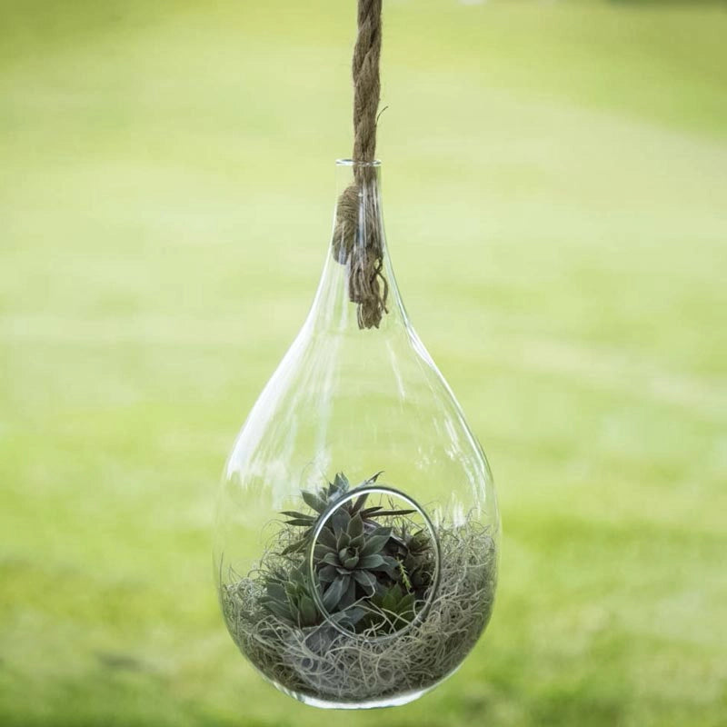 hanging glass planter with rope Danya B Teardrop Hanging Glass Planter with Rope