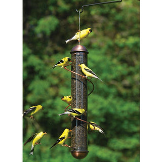 Copper Thistle Feeder