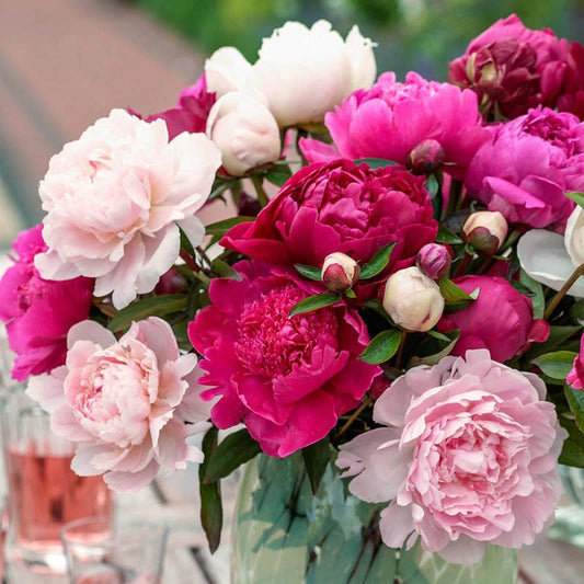 74277A.webp?v=1699976149&width=533