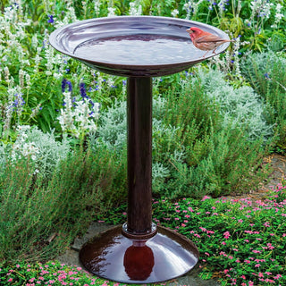 Simplicity Birdbath