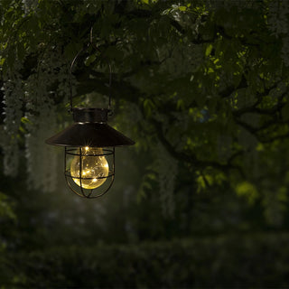 Firefly Solar Lantern