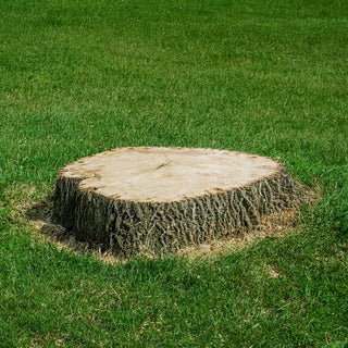 Stump Remover 1 1/2 Lb