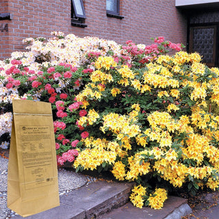 Shrubs Alive!™ for Trees & Shrubs 5 lb.