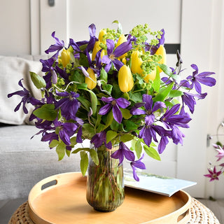 Clematis Sweet Waves