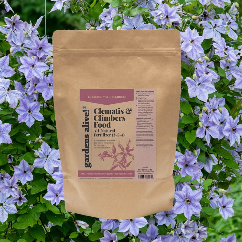 fertilizer for clematis plants Clematis And Climbers Food 3-5-4