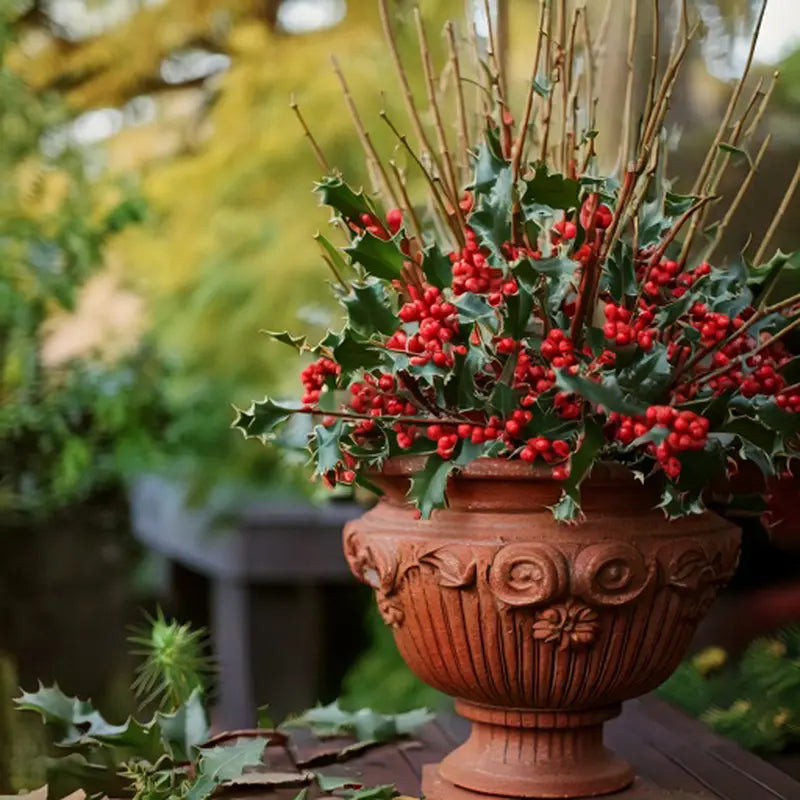 holly plant in pot Blue Princess Holly Broadleaf Evergreen Shrub, grown in a 2.50 quart pot (1-Pack)