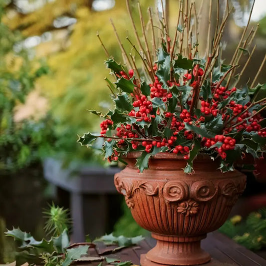 holly様B2500セット IIbex_Holly_Berries_Firefly.