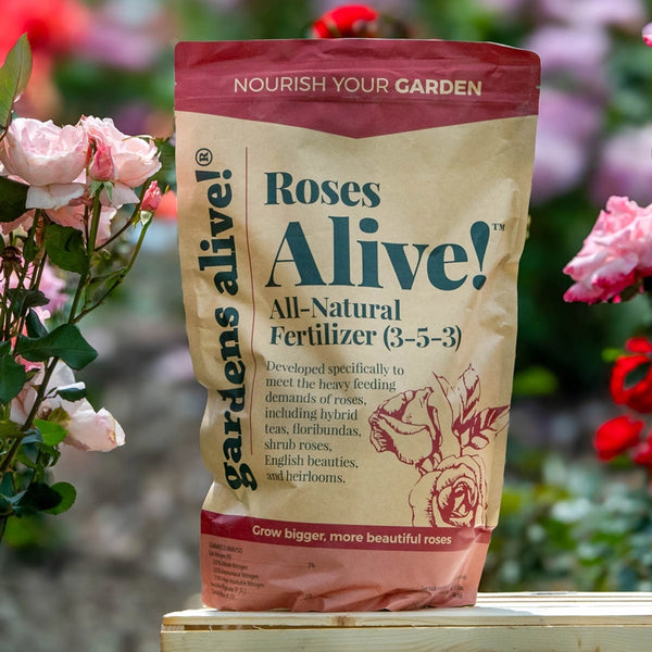organic fertilizer for rose plants Roses Alive! Fertilizer