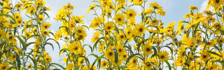 Spring 2025 Catalog Deals Banner