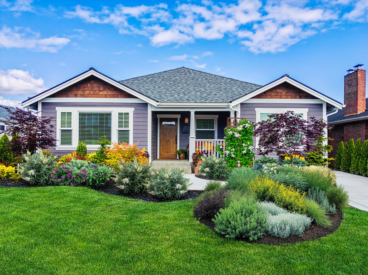 Springhill Spring Hill Nurseries | Find your Inspiration- Online Nursery