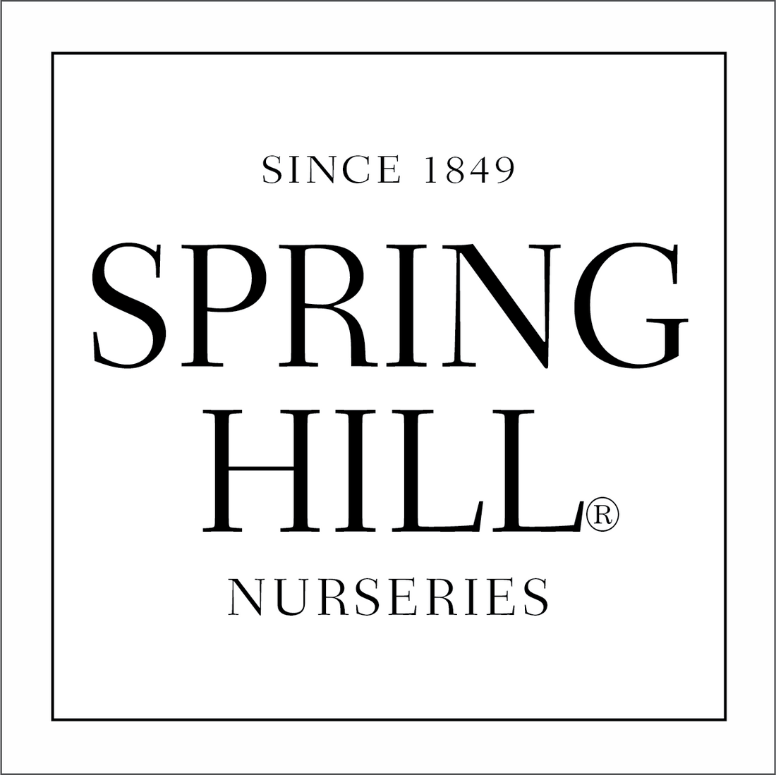 Spring Hill Nursery Catalog Spring Hill Nurseries