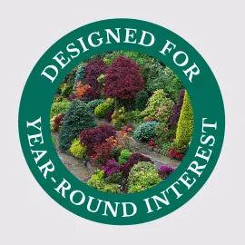 Designed For Year-Round Interest