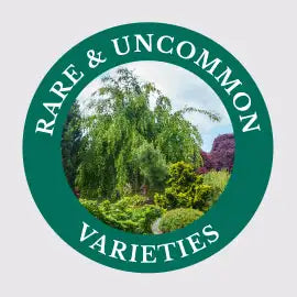 Rare & Uncommon Varieties