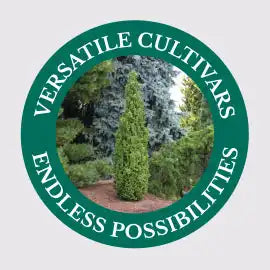 Versatile Cultivars 